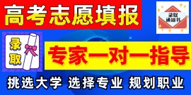 2024年高考志愿填报 专家一对一指导 全方位服务